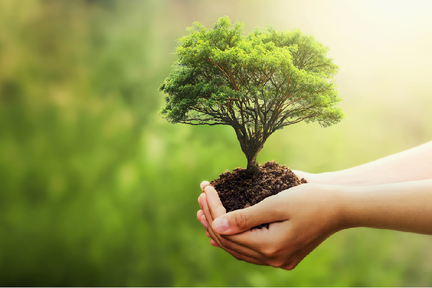 How to take care of the environment 2