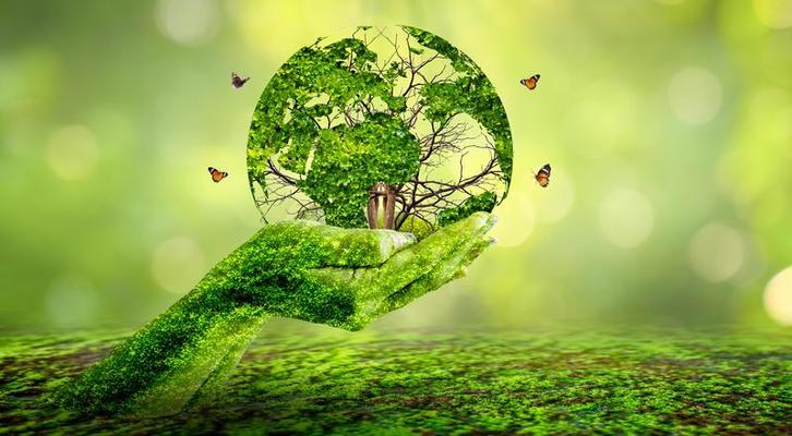 concept save the world save environment the world is in the grass of the green bokeh background photo