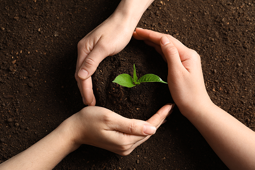 insights agri enviro sustainability