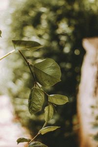 pexels matreding 7841100